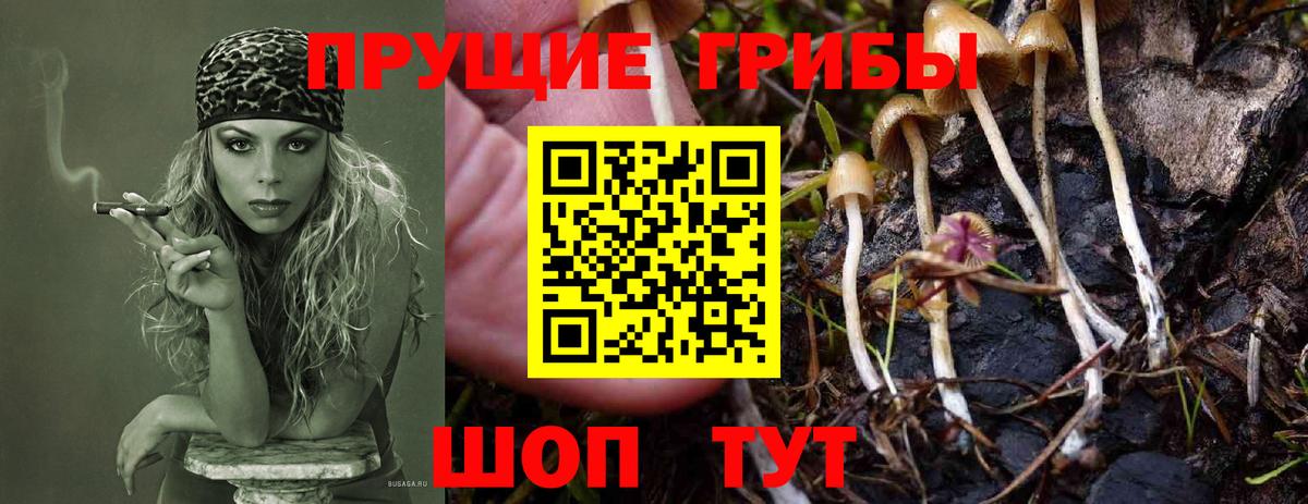 Саров  Галлюциногенные грибы мицелий  Галлюциногенные грибы мухоморы  Вход с VPN 